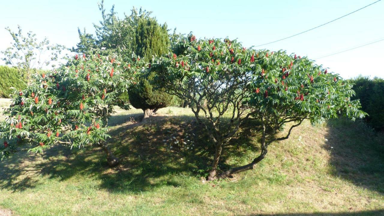 Villa La Maison de Ners à Pertheville-Ners Extérieur photo